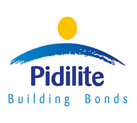 piddilite-products